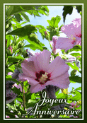 Anniversaire en fleurs vibrantes et douces